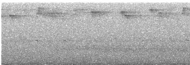 Австралийская сипуха - ML617288169