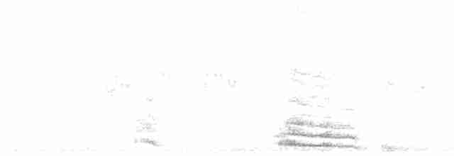 Flötenkrähenstar (dorsalis) - ML617288738