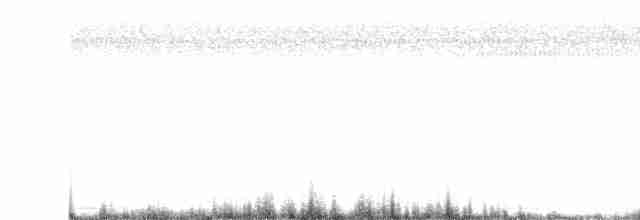 Eurasian Collared-Dove - ML617288873