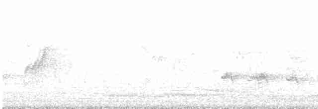 Guêpier arc-en-ciel - ML617289924