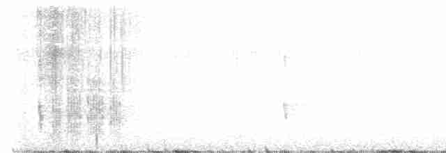 Черноспинный трёхпалый дятел - ML617293775