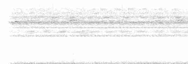 Great Tinamou - ML617294131