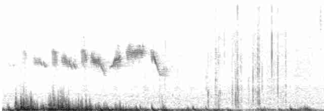 Black-throated Gray Warbler - ML617294565