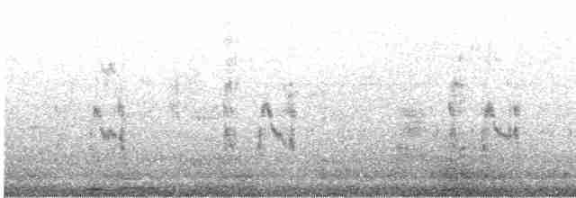 Woodchat Shrike - ML617295854