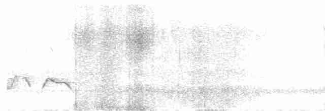 Чагарниця плямистоплеча - ML617298471