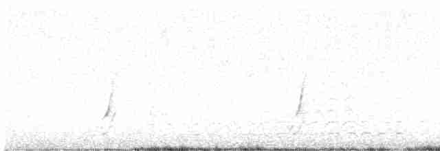 斑胸秧雞 - ML617298581