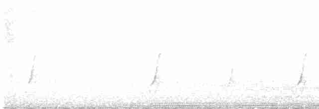 斑胸秧雞 - ML617298724