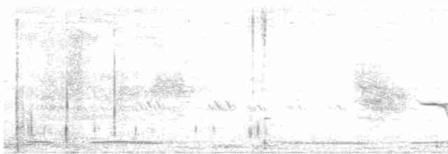 hrdlička kropenatá - ML617299104