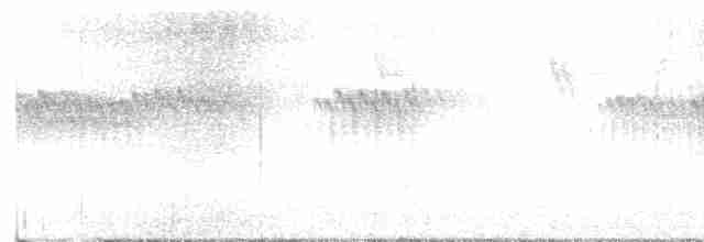Омелюх звичайний - ML617299130