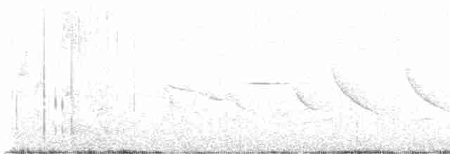 White-crested Elaenia - ML617299352