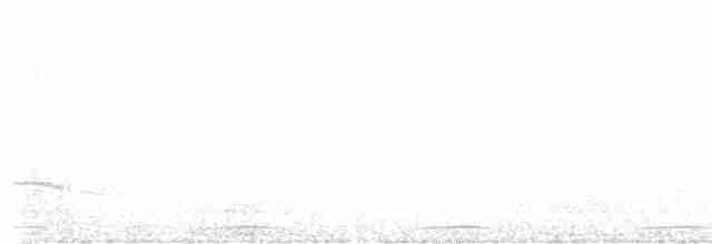 Élénie à cimier blanc - ML617299492