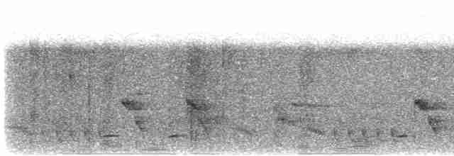 Troglodyte coraya - ML617299632