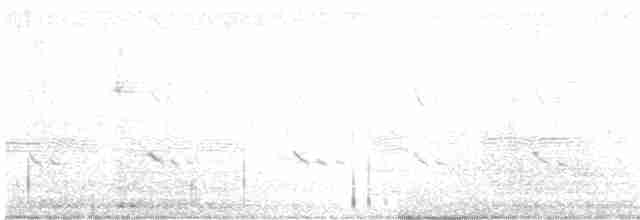 White-throated Kingfisher - ML617300531