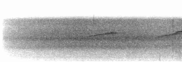 Streifenfaulvogel - ML617300614