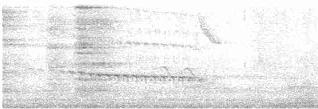 Alción de Esmirna - ML617300960