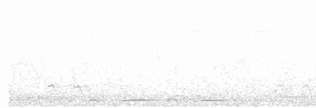 Гвінейниця жовтогруда - ML617301473