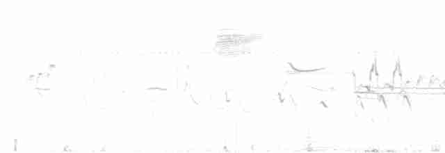 Желтобровая овсянка-барсучок - ML617301964