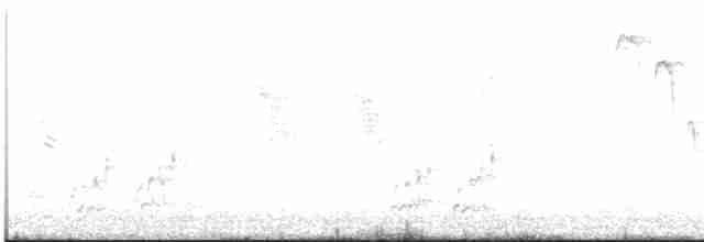 Северный сорокопут - ML617303030