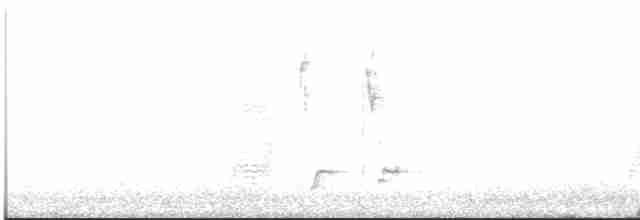 Северный сорокопут - ML617303032
