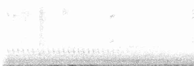 Трясогузковый певун - ML617309415