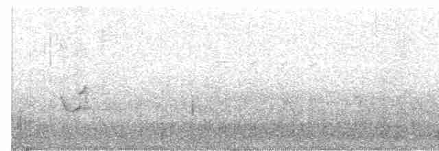 Archibebe Oscuro - ML617310137