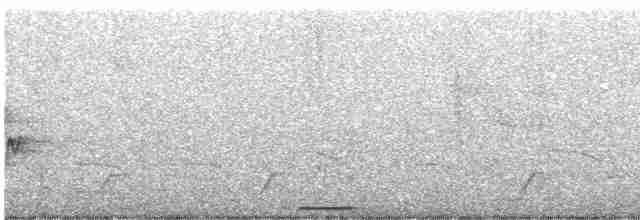 holoubek šedomodrý - ML617310159