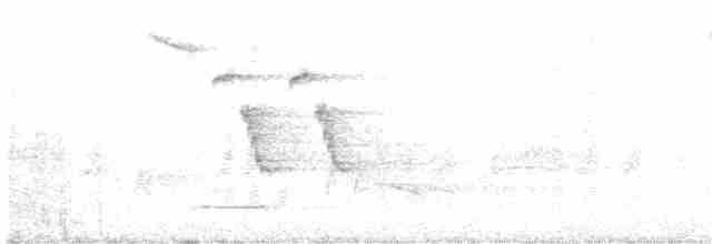 Сичик-горобець євразійський - ML617314381
