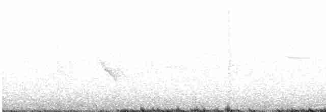 Evening Grosbeak (type 1) - ML617318835