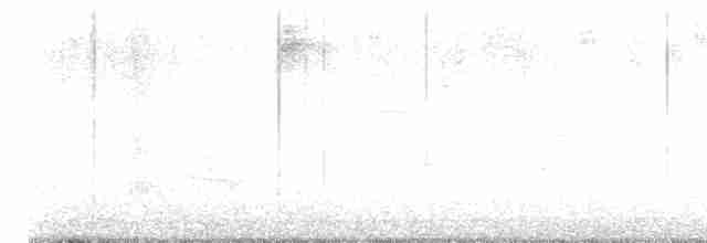 drozdec černohlavý - ML617320372