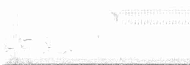storpræriejerpe - ML617320767