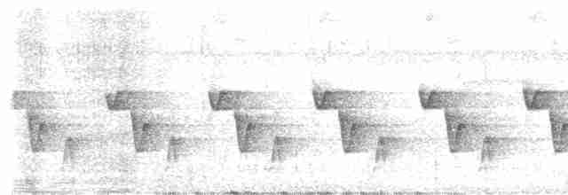 Riperyan Çıtkuşu - ML617321127