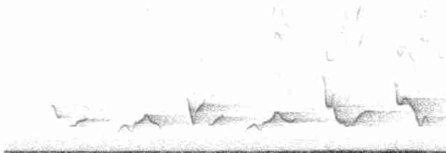 オウゴンイカル（aurantiacus） - ML617324654