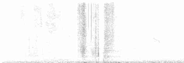 Plectrophane lapon - ML617326107