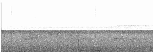 holub žlutoprsý - ML617327292
