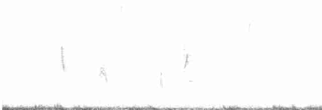 Vireo Ojiblanco - ML617328471