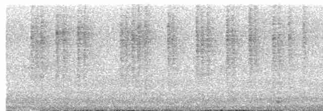 Kara Başlı Çıtkuşu - ML617329529