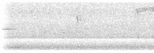 Gray Wagtail - ML617330971