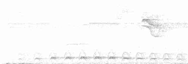 Lattice-tailed Trogon - ML617334122