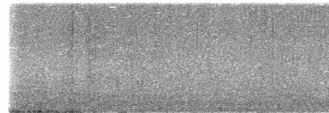 Mirlo Acuático Norteamericano - ML617334890