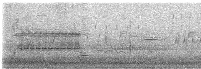 vlhovec červenokřídlý - ML617335382