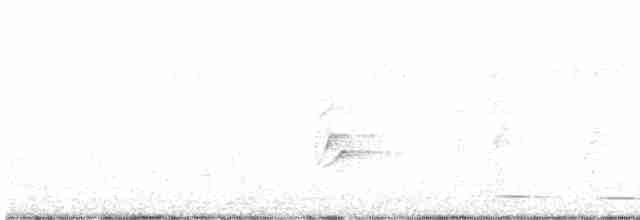 Rufous-and-white Wren - ML617335388