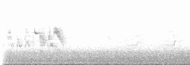 Braunaugenvireo (pusillus) - ML617336006