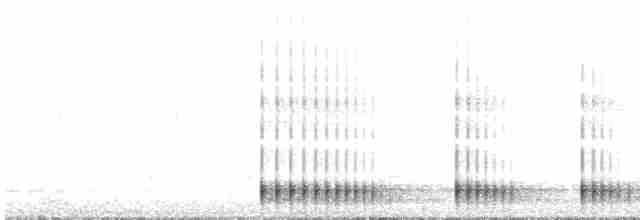 Дятел-смоктун сосновий - ML617337026