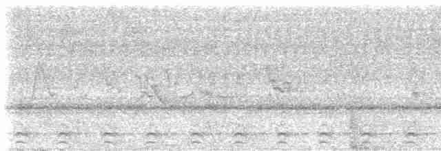 Slaty-tailed Trogon - ML617338006