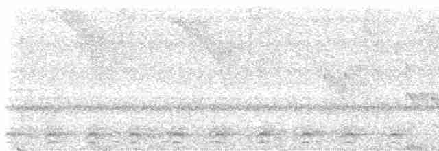 Slaty-tailed Trogon - ML617338007