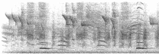 Chevêchette naine (groupe californicum) - ML617341136