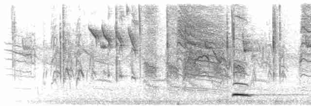 Сичик-горобець гірський [група californicum] - ML617341146