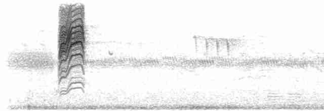 leskot modrošedý [skupina obscura] - ML617341738