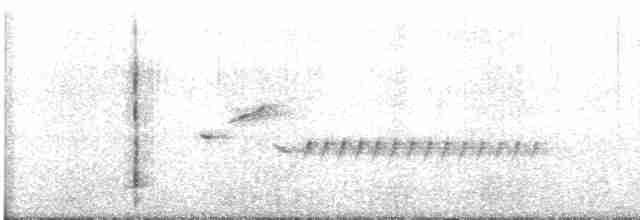 Длиннохвостый крапивник [группа mexicanus] - ML617342703