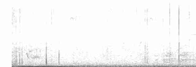 Cuitlacoche Ocelado - ML617343137